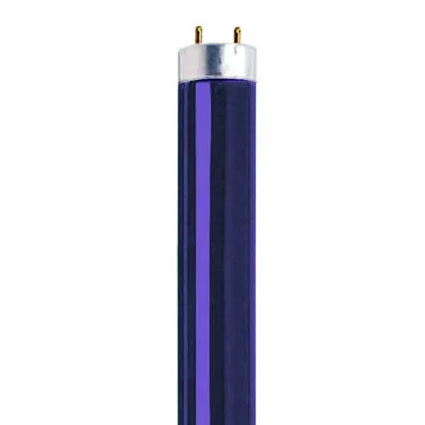 40 Watt, 48 Inch Blacklight T8 Replacement Lamp