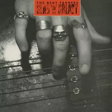 Beat Farmers - GLAD 'N' GREASY - Vinyl LP