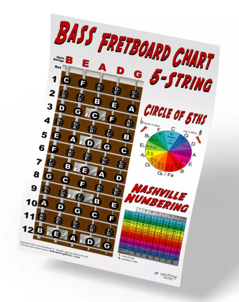 A New Song Music 5 String Bass Fretboard Poster - Nashville Numbering System, Circle of 5ths, Notes Instructional Chart 11x17