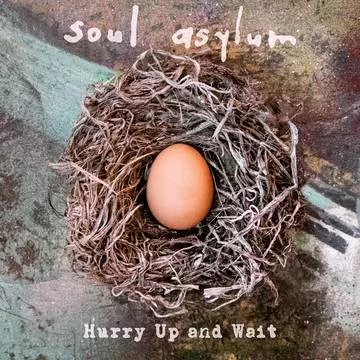 Soul Asylum - Hurry Up And Wait (Deluxe Version) [2LP+7''] (180 Gram, gatefold, limited to 1500, indie exclusive)