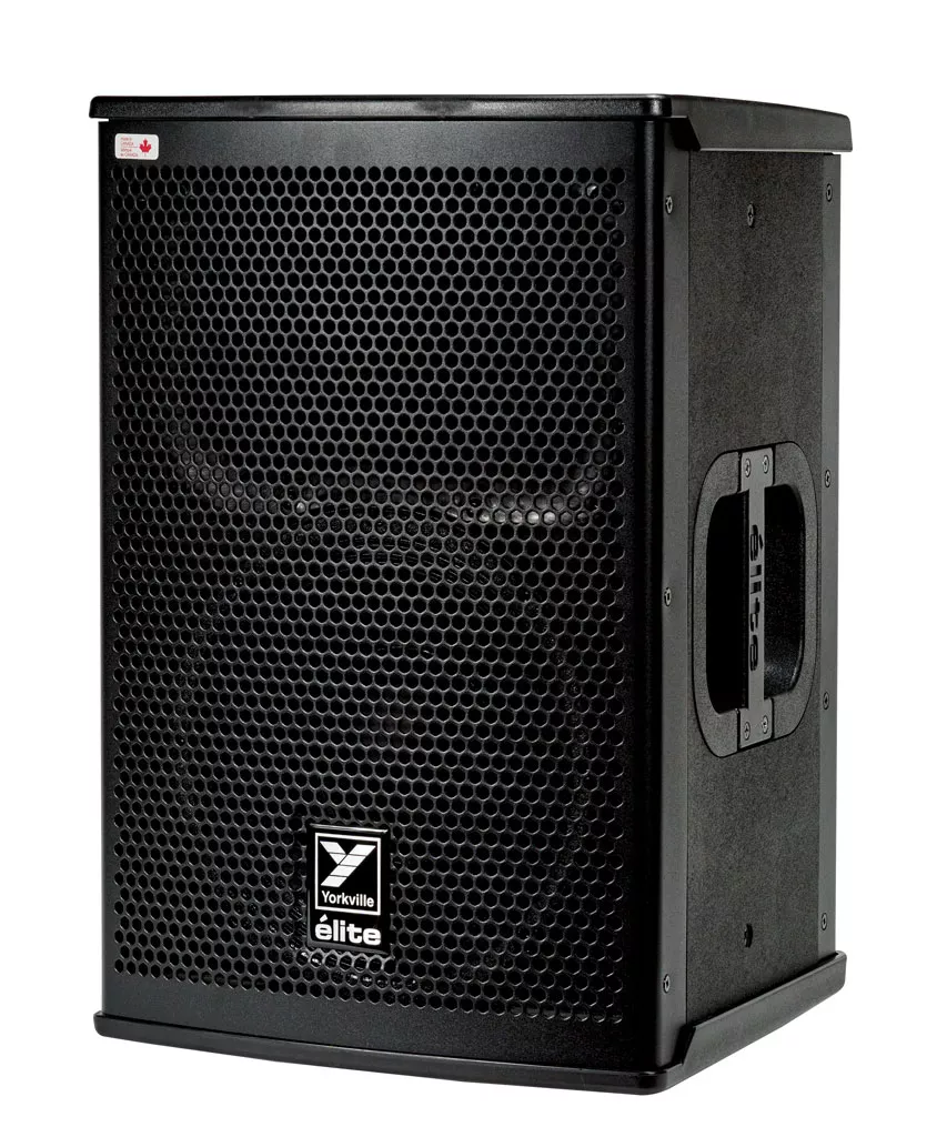 Yorkville EF10P 10″ Speaker